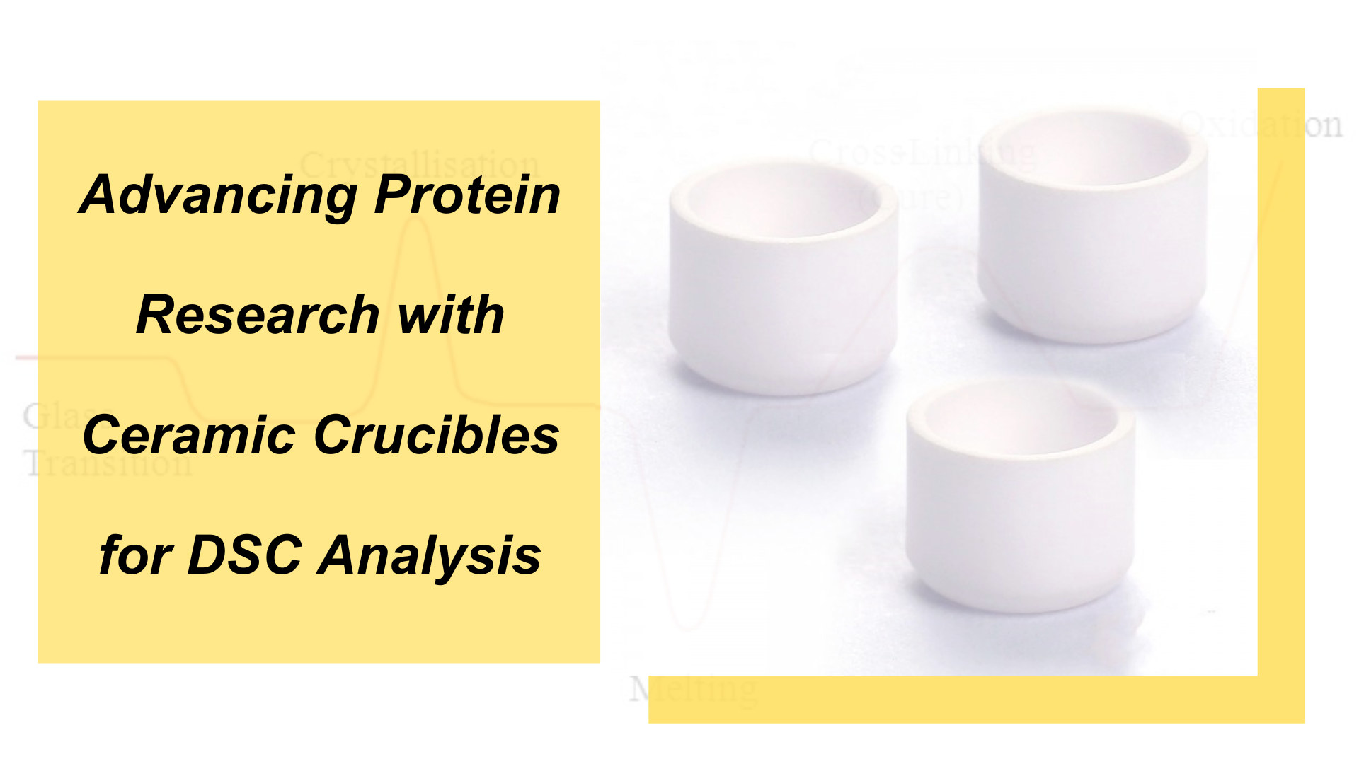 Advancing Protein Research with Ceramic Crucibles for DSC Analysis